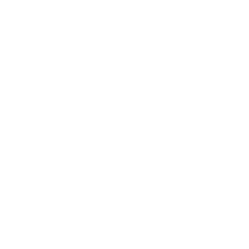 Optimised store processes